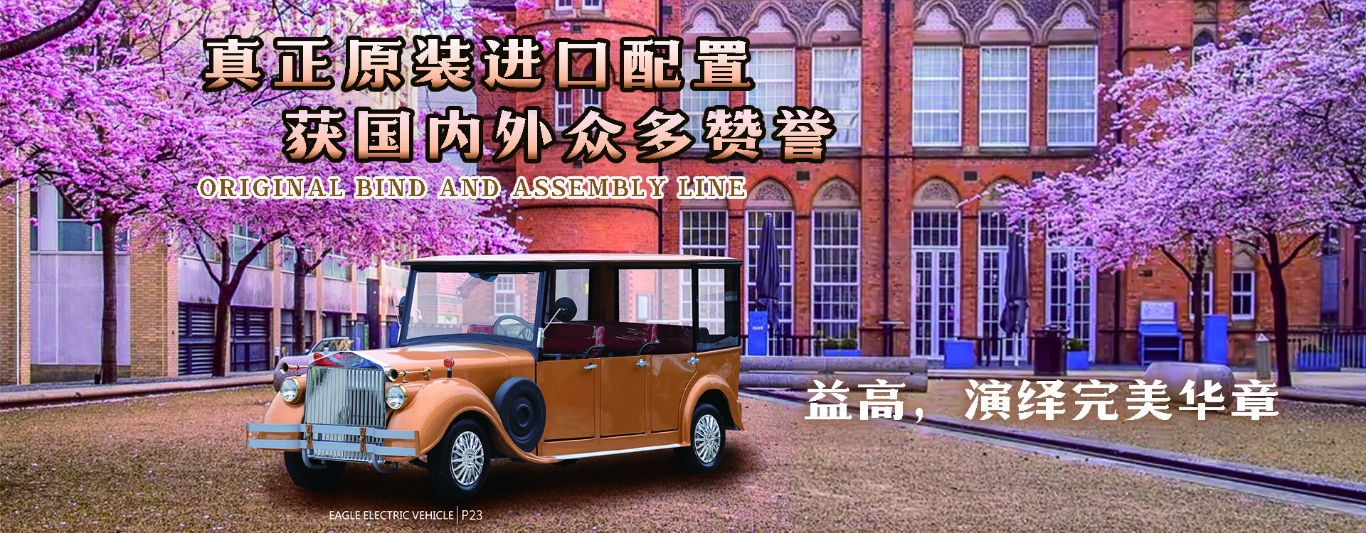&#80;&#84;&#30495;&#20154;&#65288;&#20013;&#22269;&#65289;&#23448;&#26041;&#32593;&#31449;